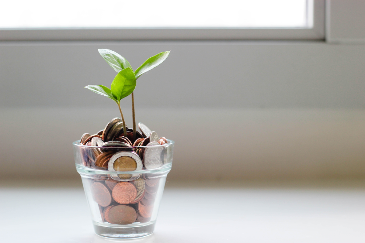 Transformation de pièces de monnaie en plante.